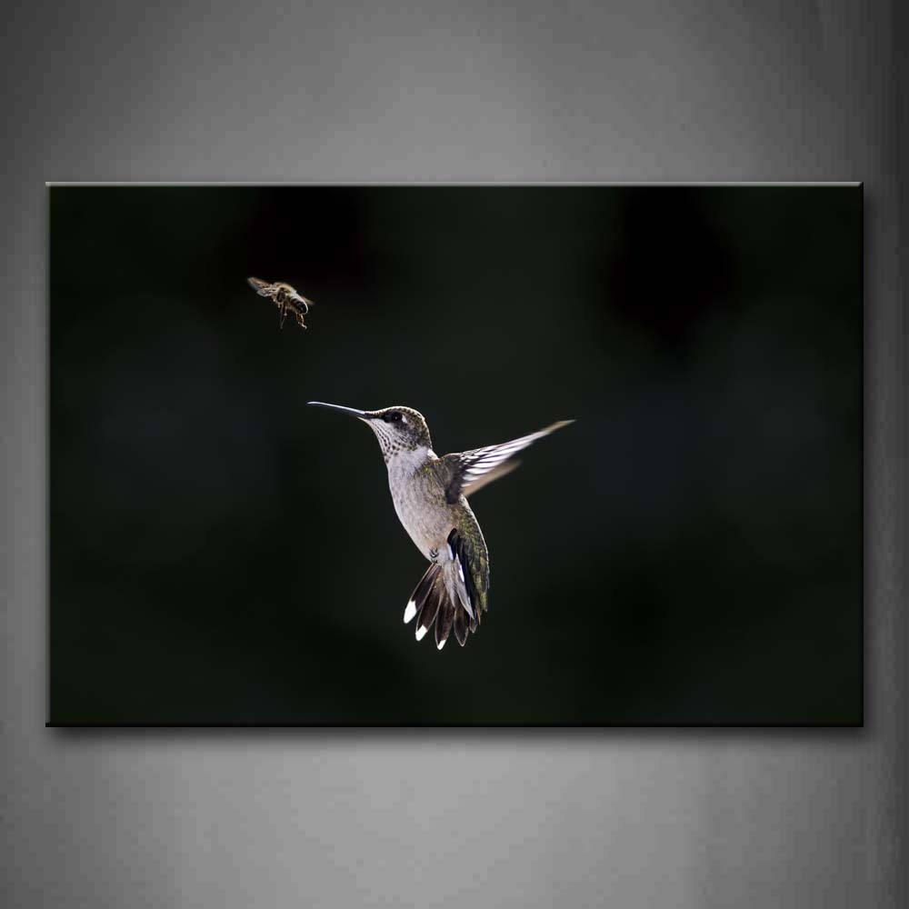 Black And White Hummingbird Flying To Grasp A Insect Wall Art Painting Pictures Print On Canvas Animal The Picture For Home Modern Decoration 