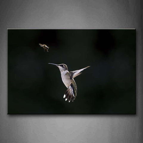 Black And White Hummingbird Flying To Grasp A Insect Wall Art Painting Pictures Print On Canvas Animal The Picture For Home Modern Decoration 