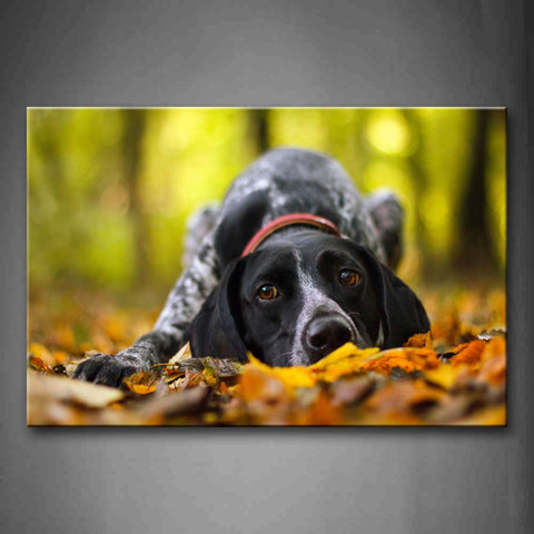 Dog Bend Over On Fallen Leafs Forest Wall Art Painting The Picture Print On Canvas Animal Pictures For Home Decor Decoration Gift 