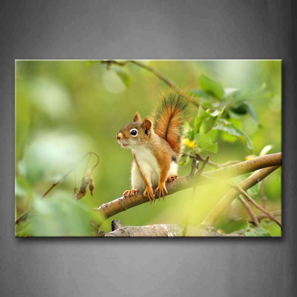 Squirrel Climb On Branch Wall Art Painting The Picture Print On Canvas Animal Pictures For Home Decor Decoration Gift 