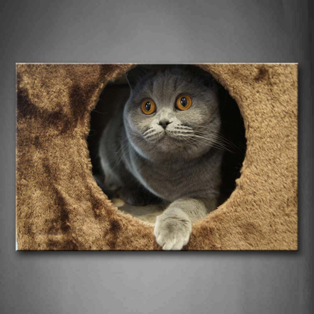 Cat In Circle Cave Wall Art Painting Pictures Print On Canvas Animal The Picture For Home Modern Decoration 