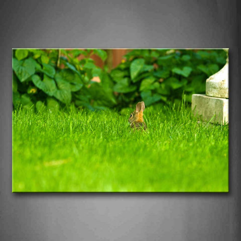 Rabbit In Green Grass Plant Wall Art Painting Pictures Print On Canvas Animal The Picture For Home Modern Decoration 