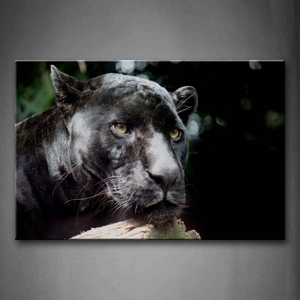 Black Panther Over Wood  Wall Art Painting Pictures Print On Canvas Animal The Picture For Home Modern Decoration 