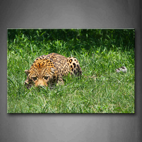 Leopard Crawl On Grass Wall Art Painting Pictures Print On Canvas Animal The Picture For Home Modern Decoration 