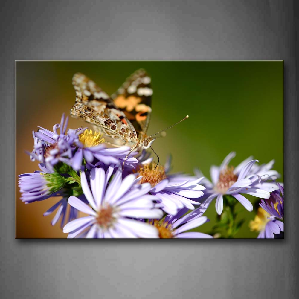 Butterfly Crawl On Purple Flower Wall Art Painting The Picture Print On Canvas Animal Pictures For Home Decor Decoration Gift 