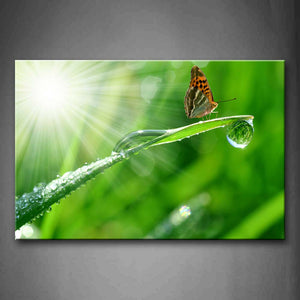 Butterfly Stop On Green Grass Drop Of Water Sun Bright Wall Art Painting Pictures Print On Canvas Animal The Picture For Home Modern Decoration 