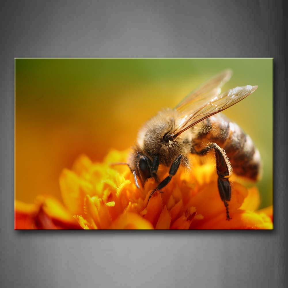 Bee On Yellow Flower Wall Art Painting The Picture Print On Canvas Animal Pictures For Home Decor Decoration Gift 