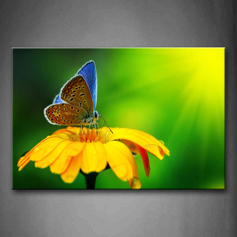 Butterfly On Yellow Flower Wall Art Painting Pictures Print On Canvas Animal The Picture For Home Modern Decoration 