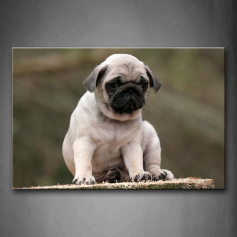 Pug Sit On Plank Wall Art Painting The Picture Print On Canvas Animal Pictures For Home Decor Decoration Gift 