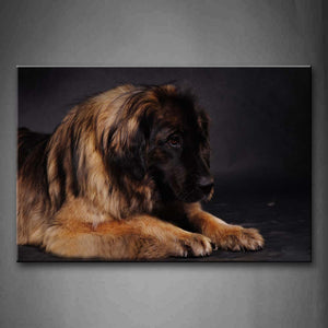 Leonberger Lie On Land Gray Background Wall Art Painting Pictures Print On Canvas Animal The Picture For Home Modern Decoration 