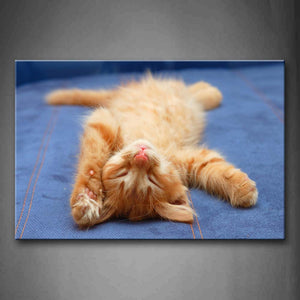 Cat Lie On Blue Cloth Wall Art Painting Pictures Print On Canvas Animal The Picture For Home Modern Decoration 