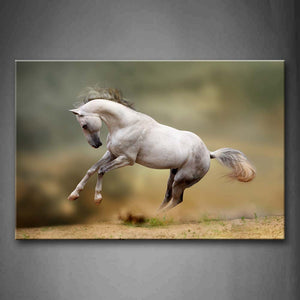 Horse Jump Over Mud Land Dust Wall Art Painting Pictures Print On Canvas Animal The Picture For Home Modern Decoration 