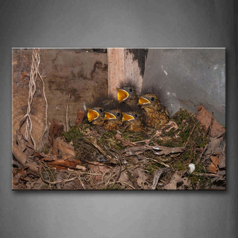 Cub Birds In Nest Open Mouth  Wall Art Painting Pictures Print On Canvas Animal The Picture For Home Modern Decoration 