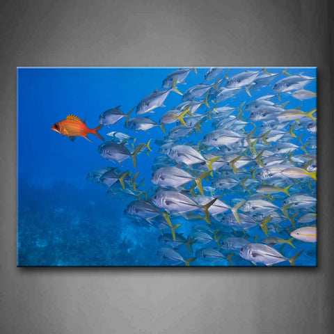 A Group Of Fishes Swim In Blue Sea Wall Art Painting The Picture Print On Canvas Animal Pictures For Home Decor Decoration Gift 