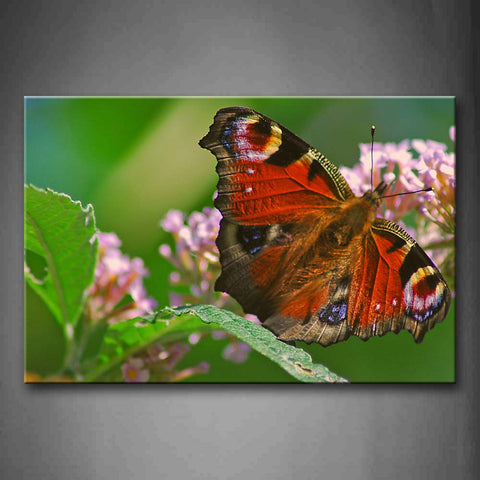 Butterfly Stop On Pink Flower Leafs Wall Art Painting Pictures Print On Canvas Animal The Picture For Home Modern Decoration 