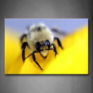 Bee On Yellow Flower Portrait Wall Art Painting The Picture Print On Canvas Animal Pictures For Home Decor Decoration Gift 