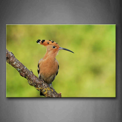 Hoopoe Stand On Dry Branch Moss Wall Art Painting Pictures Print On Canvas Animal The Picture For Home Modern Decoration 