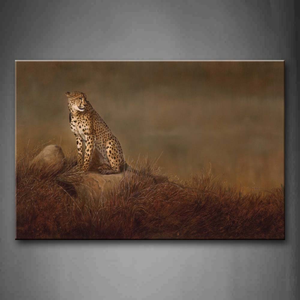 Cheetah Sit On Stone Dry Grassland Wall Art Painting The Picture Print On Canvas Animal Pictures For Home Decor Decoration Gift 