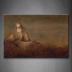 Cheetah Sit On Stone Dry Grassland Wall Art Painting The Picture Print On Canvas Animal Pictures For Home Decor Decoration Gift 