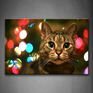 Cat Head In Colorful Light Wall Art Painting Pictures Print On Canvas Animal The Picture For Home Modern Decoration 