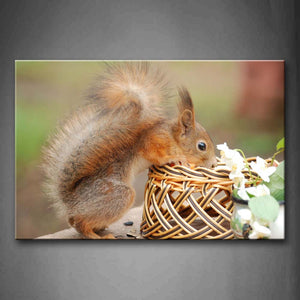 Squirrel Climb On Basket White Flower  Wall Art Painting Pictures Print On Canvas Animal The Picture For Home Modern Decoration 