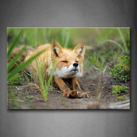 Fox Stretch Body On Mud Land Grass Wall Art Painting The Picture Print On Canvas Animal Pictures For Home Decor Decoration Gift 