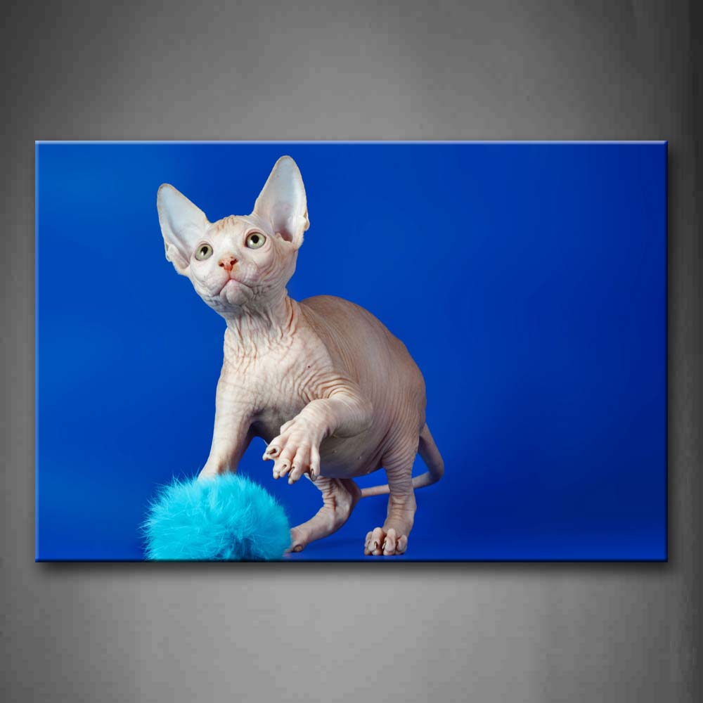 Cat Play With Pompon In Blue Background Wall Art Painting Pictures Print On Canvas Animal The Picture For Home Modern Decoration 