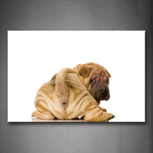 Shar Pei Look Back In White Background Wall Art Painting The Picture Print On Canvas Animal Pictures For Home Decor Decoration Gift 