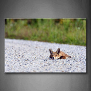 Fox Lie On Stone Land Grass Wall Art Painting The Picture Print On Canvas Animal Pictures For Home Decor Decoration Gift 