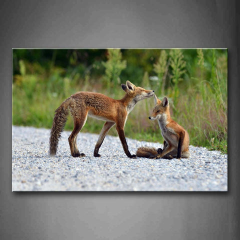 Two Foxs On Stone Land Wall Art Painting Pictures Print On Canvas Animal The Picture For Home Modern Decoration 