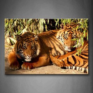 Two Tigers Lie On Land Together Under Leafs Wall Art Painting Pictures Print On Canvas Animal The Picture For Home Modern Decoration 