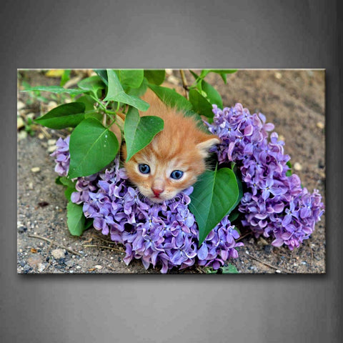 Cat Is Under Leafs And Cover Purple Flower Wall Art Painting The Picture Print On Canvas Animal Pictures For Home Decor Decoration Gift 