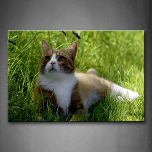 Cat In Grass Look Up  Wall Art Painting The Picture Print On Canvas Animal Pictures For Home Decor Decoration Gift 