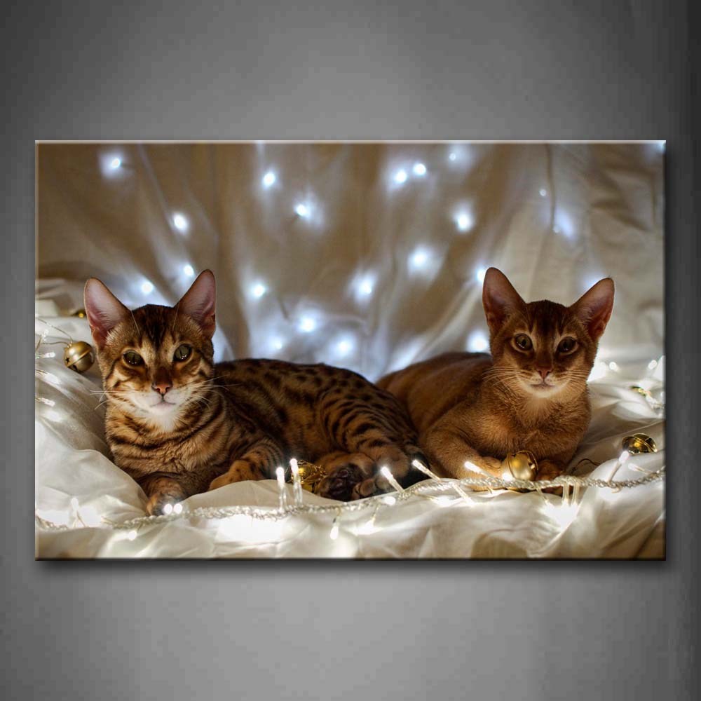 Two Cat Lie On White Cloth Small Bell Wall Art Painting Pictures Print On Canvas Animal The Picture For Home Modern Decoration 