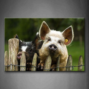 Two Pigs Climb On Fence Wall Art Painting Pictures Print On Canvas Animal The Picture For Home Modern Decoration 