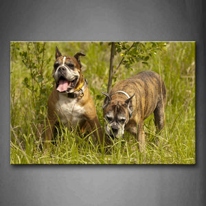 Two Dogs Stand In Grass Near Smalltrees Wall Art Painting Pictures Print On Canvas Animal The Picture For Home Modern Decoration 