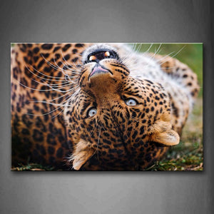 Leopard Lie Down Head Portrait Wall Art Painting The Picture Print On Canvas Animal Pictures For Home Decor Decoration Gift 