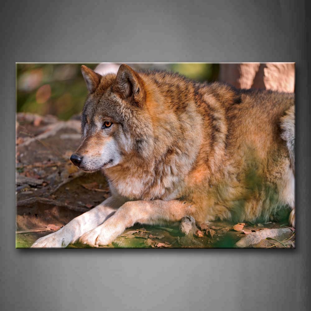 Wolf Bend Over On Mud Land Fallen Leafs Wall Art Painting The Picture Print On Canvas Animal Pictures For Home Decor Decoration Gift 