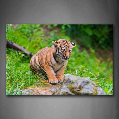 Young Tiger Sit On Stone Near Grass Wall Art Painting The Picture Print On Canvas Animal Pictures For Home Decor Decoration Gift 