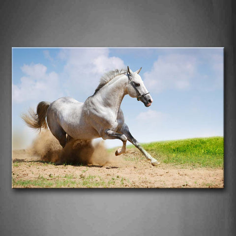 Horse Run On Mud Land Dust Lawn Wall Art Painting Pictures Print On Canvas Animal The Picture For Home Modern Decoration 