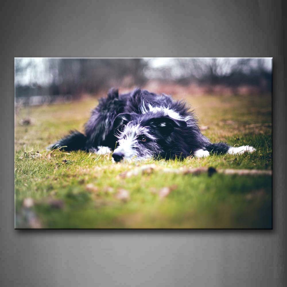 Dog Lie On Lawn Portrait Wall Art Painting The Picture Print On Canvas Animal Pictures For Home Decor Decoration Gift 