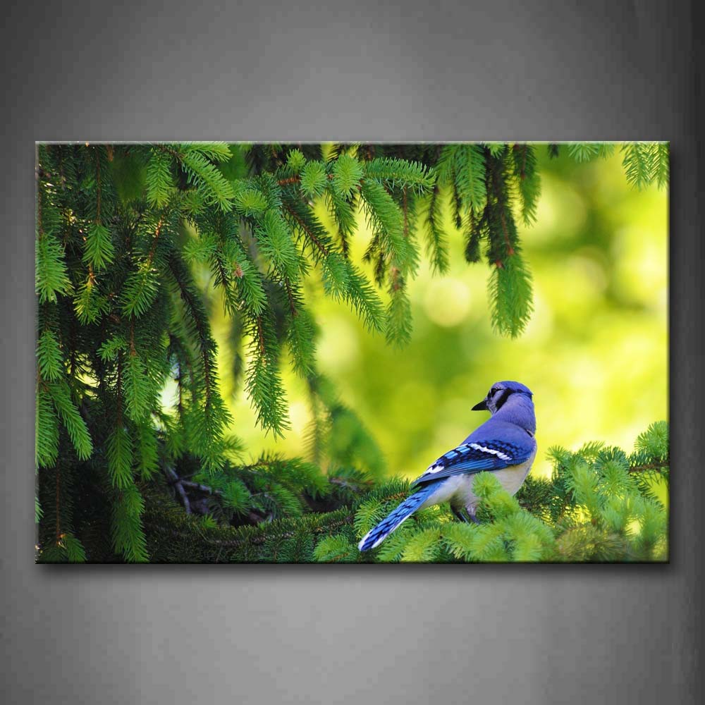 Blue Bird Stand On Green Tree Wall Art Painting Pictures Print On Canvas Animal The Picture For Home Modern Decoration 