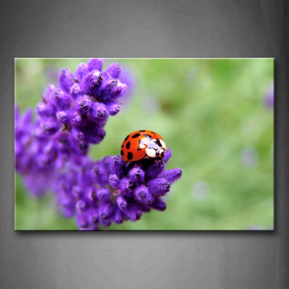 Ladybug Crawlon Purple Flower Wall Art Painting Pictures Print On Canvas Animal The Picture For Home Modern Decoration 