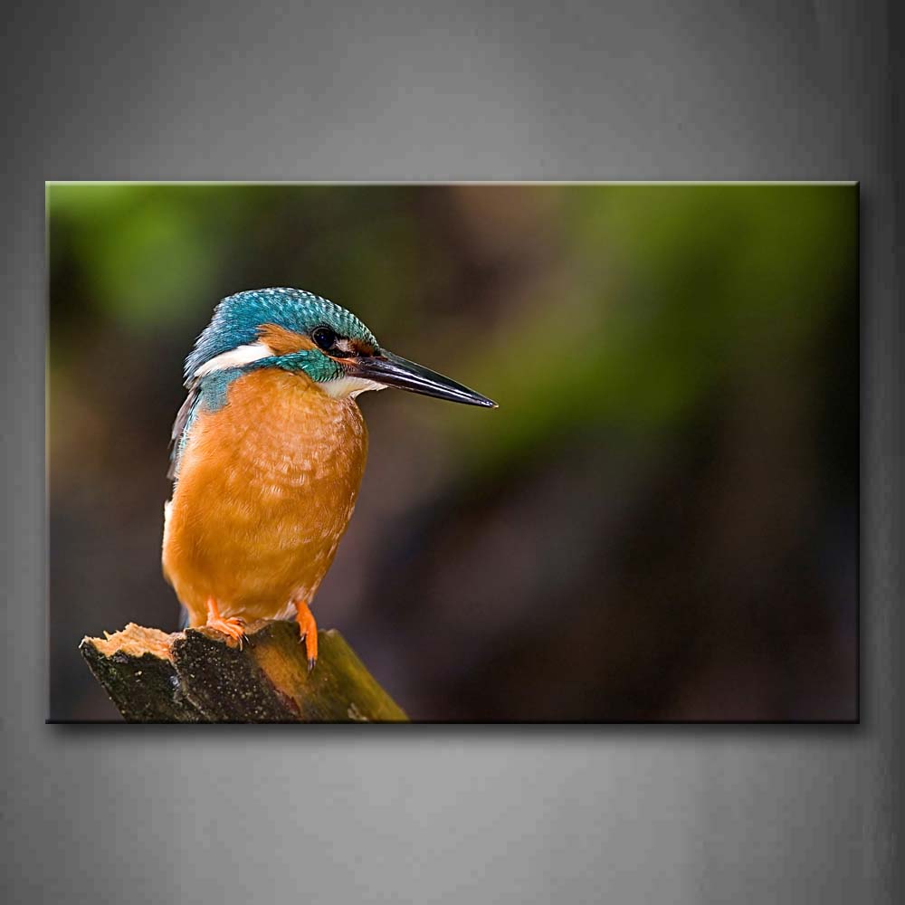 Bird Stand On Wood Portrait Wall Art Painting Pictures Print On Canvas Animal The Picture For Home Modern Decoration 