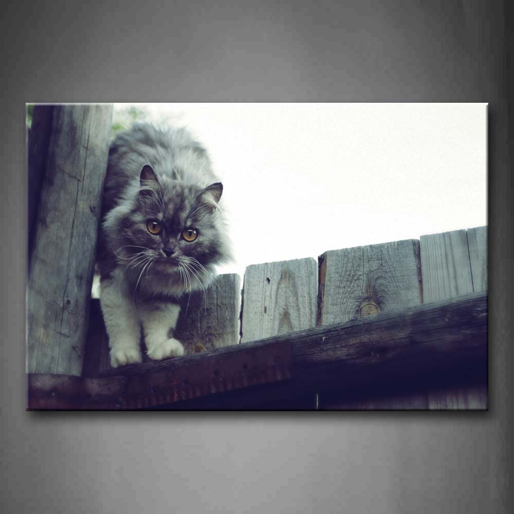 Black And White Gray Cat Climb On Wood Door Wall Art Painting Pictures Print On Canvas Animal The Picture For Home Modern Decoration 