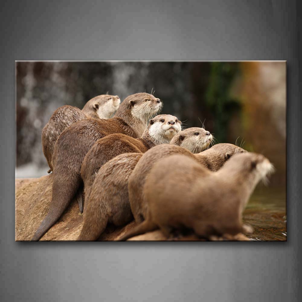 Several Otters Sit On Stone Near Water Wall Art Painting Pictures Print On Canvas Animal The Picture For Home Modern Decoration 