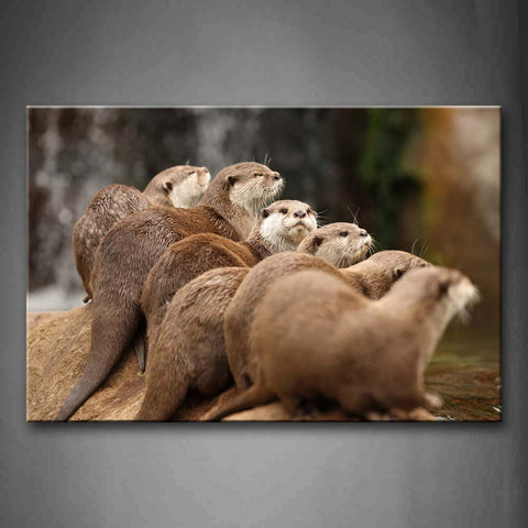 Several Otters Sit On Stone Near Water Wall Art Painting Pictures Print On Canvas Animal The Picture For Home Modern Decoration 