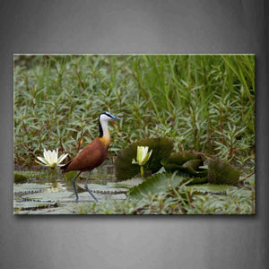 Bird Stand On Pool Water Plant Lotus Wall Art Painting The Picture Print On Canvas Animal Pictures For Home Decor Decoration Gift 