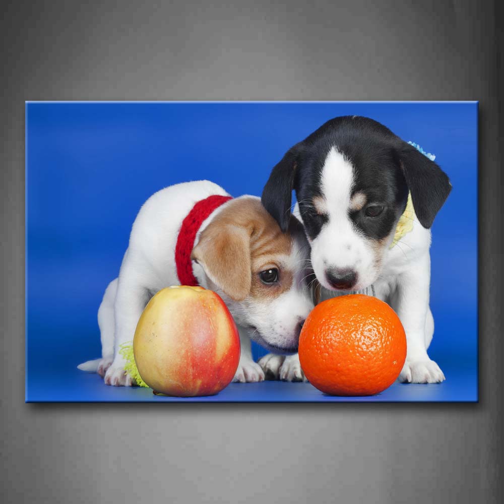 Two Dogs Stand Near Apple And Orange Blue Background Wall Art Painting The Picture Print On Canvas Animal Pictures For Home Decor Decoration Gift 