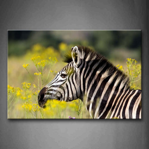 Zebra Head Profile Yellow Flower Wall Art Painting Pictures Print On Canvas Animal The Picture For Home Modern Decoration 